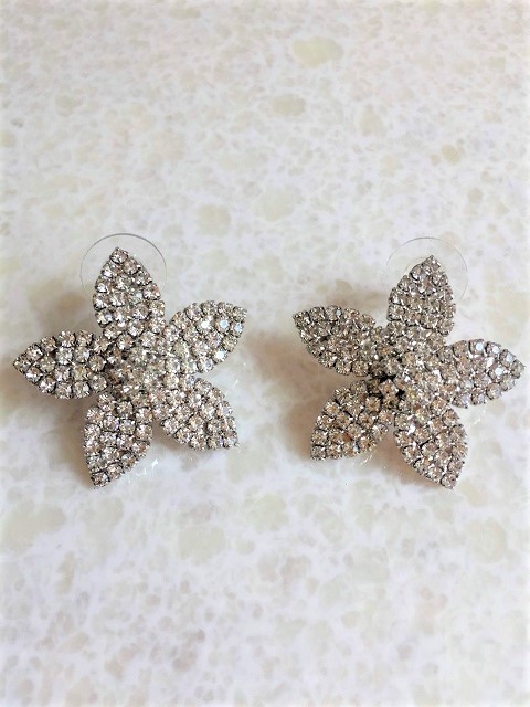 ALDOシルバーキラキラ花デザインピアス